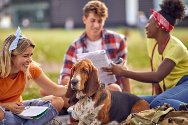 Macon Pets