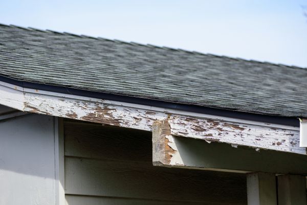 Macon Wood Rot Repair