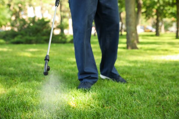 Macon Lawn Treatment