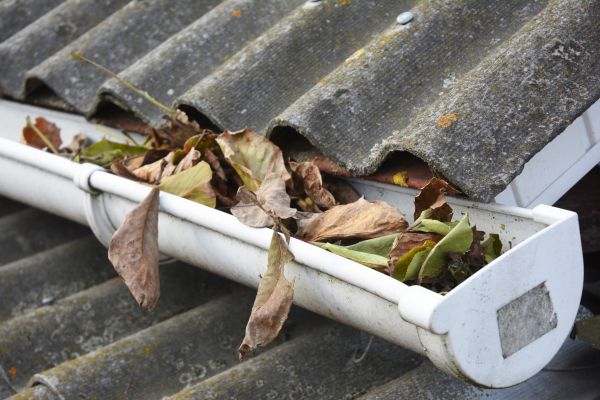 Macon Gutter Cleaning